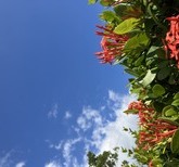 世界一の・・の画像